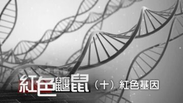 《中央情报局的红色鼹鼠》（十）红色基因