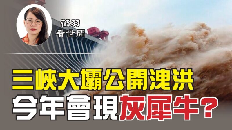 【薇羽看世间】三峡大坝公开泄洪 今年会出现“灰犀牛”事件吗？
