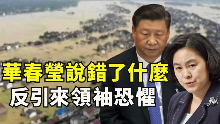 【江峰時刻】華春瑩說錯了什麼？反引來「領袖」的恐懼