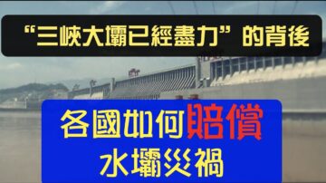 【腦洞黑洞】「三峽大壩已經盡力」背後的故事