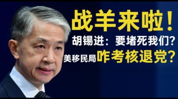 田云：中共发言人和胡锡进透露了党的恐惧