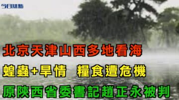 【今日焦点】北京天津山西山东多地“看海” 干旱加蝗虫 恐增粮食危机