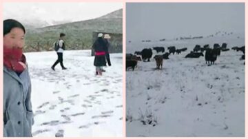 異象！甘肅8月降暴雪 一夜盛夏變「寒冬」