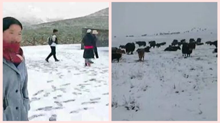 異象！甘肅8月降暴雪 一夜盛夏變「寒冬」