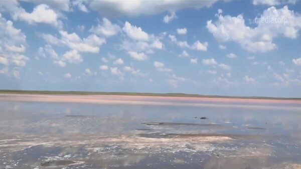 谣传能抗病毒 哈萨克斯坦粉红湖遭偷挖