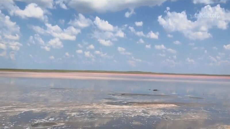 謠傳能抗病毒 哈薩克斯坦粉紅湖遭偷挖