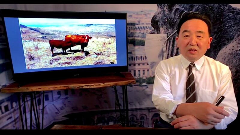 《石濤聚焦》聖經舊約-標誌「聖經末日」的紅母牛出現