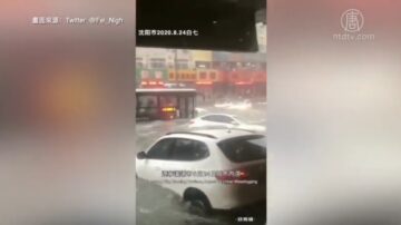 辽宁沈阳大连等地暴雨严重内涝