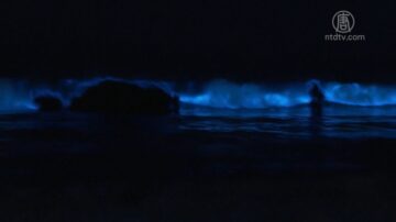 北加州圣塔克鲁兹海浪夜间闪烁着蓝光