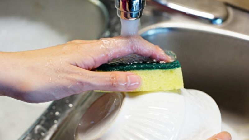 家裡細菌最多是洗碗海綿？做到4點變乾淨