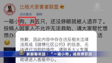 新蘇聯笑話：「一箱小狗」成微博禁詞