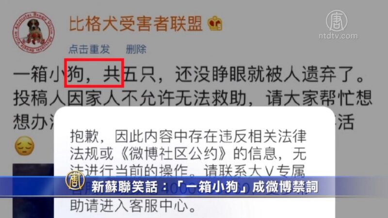 新苏联笑话：“一箱小狗”成微博禁词