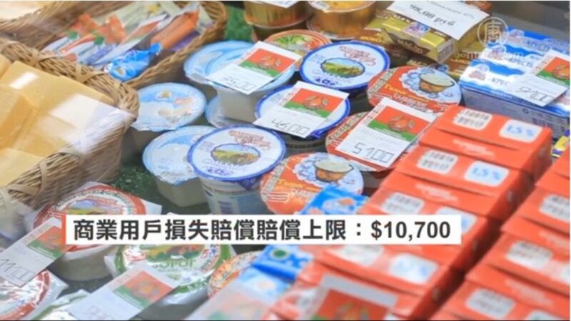 停电过长致食物药品腐坏 Con Ed可赔偿