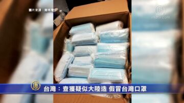 台湾：查获疑似大陆造 假冒台湾口罩