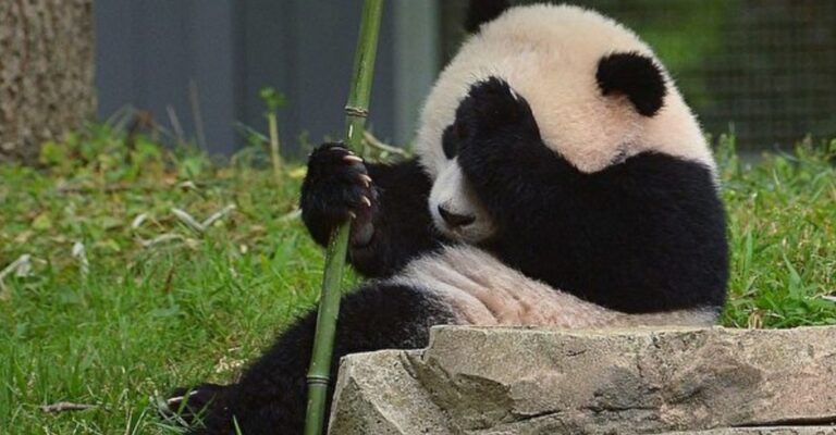 「駝背族」必看！專家教你三招練儀態