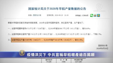 【禁聞】疫情洪災下 中共宣稱早稻增產逾百萬噸