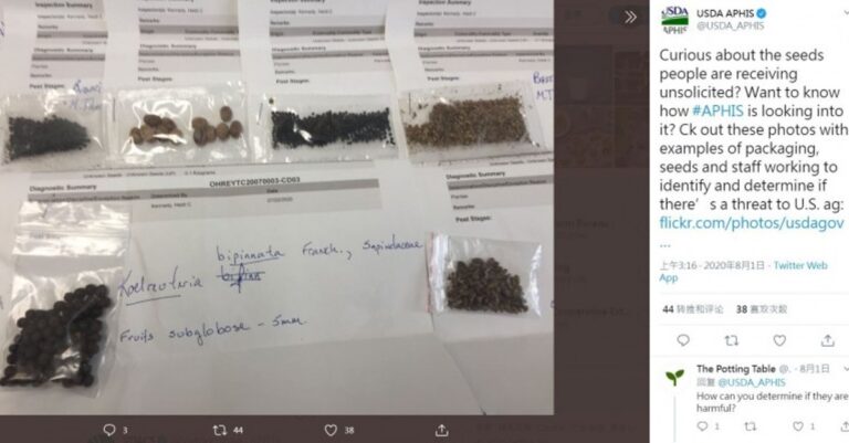 不明種子郵件來源現蹤跡 疑部份為台灣共諜寄出