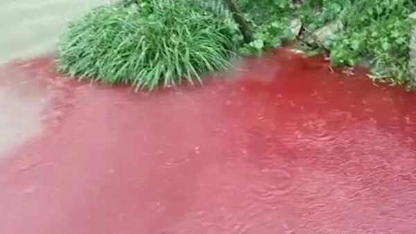 四川暴雨连连 积水现血腥味红色液体