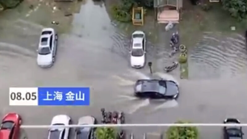 黑格比台风袭上海 街道变河流 积水深达1米(视频)