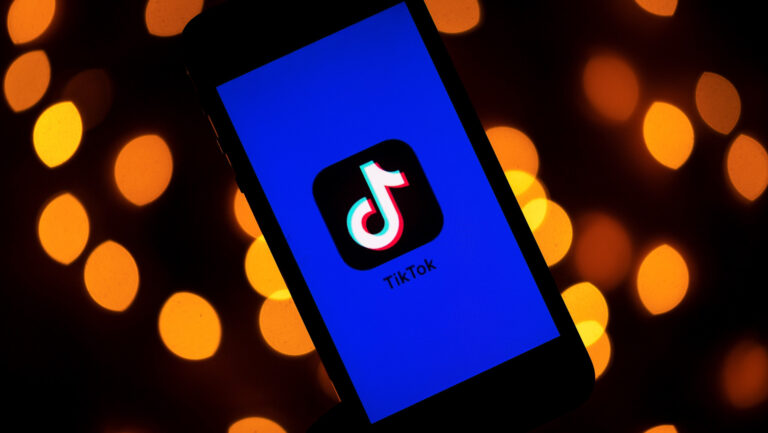 TikTok起訴美政府 專家稱為拖延時間干擾大選