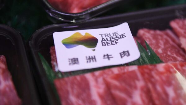 中共升级报复 暂停澳洲大麦牛肉进口