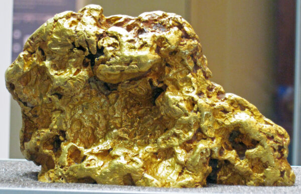挖到3.5公斤“黄金大鸡块”澳洲淘金客一夕致富