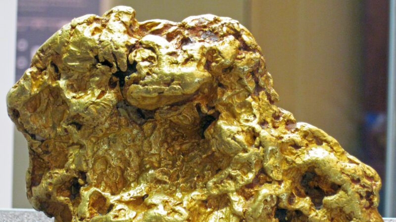 挖到3.5公斤「黃金大雞塊」澳洲淘金客一夕致富