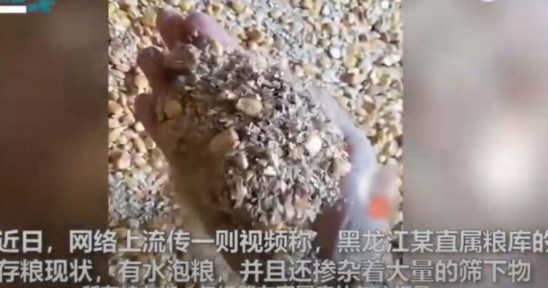黨媒自曝四川國糧監守自盜 糧庫空倉一年無人過問