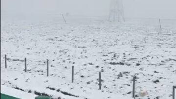 【今日點擊】中華祖脈青海玉樹罕見六月飛雪 有何冤情？