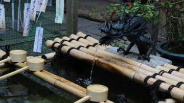 楊延昭經歷「古井生木」 龍泉寺留神蹟