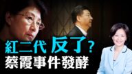 【熱點互動】蔡霞「脫鉤」中共 紅二代反紅旗加快中共解體？