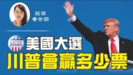 【薇羽看世間】2020美國大選 川普會贏多少票