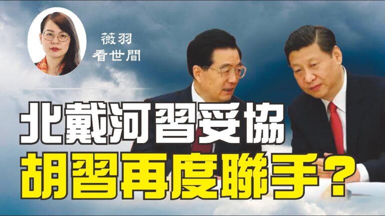 【薇羽看世間】北戴河習妥協 習胡再度聯手？