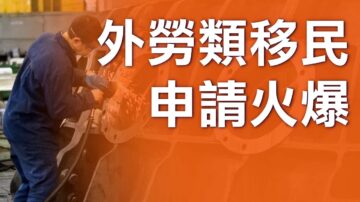 加国安省外劳类移民申请火爆