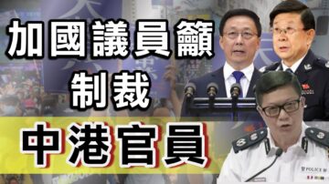 加国议员连署敦促政府制裁中港官员