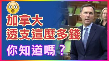 【加國生活】加拿大透支多少 你知道嗎？