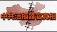活摘器官 川普政府會揭開黑幕 與中共對決嗎？