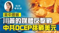 【薇羽看世間】川普的媒體反擊戰 中共DCEP挑戰美元