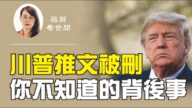【薇羽看世間】川普推文被刪 你不知道的背後事