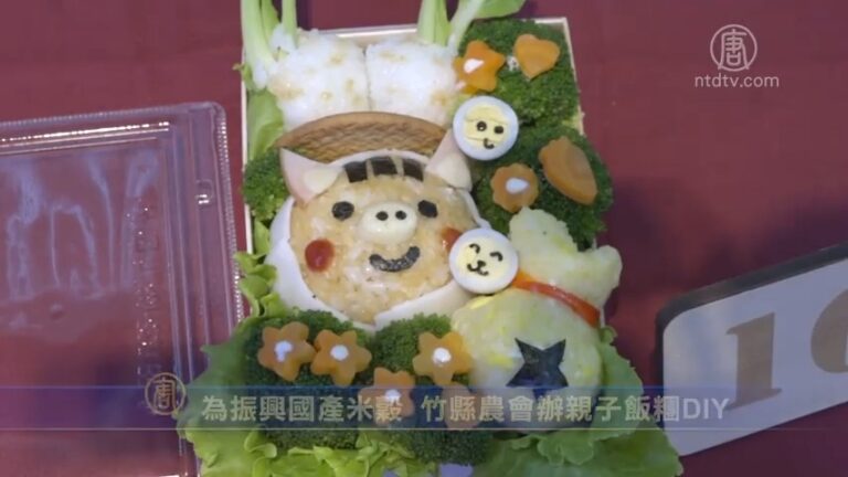 為振興國產米穀 竹縣農會辦親子飯糰DIY