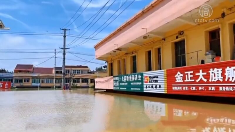 安徽廬江數萬災民泡水40餘天 失救助