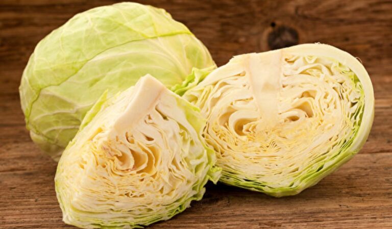 高麗菜養胃 有神奇藥用 2種人吃需注意