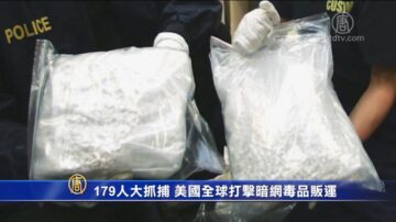 179人大抓捕 美國全球打擊暗網毒品販運