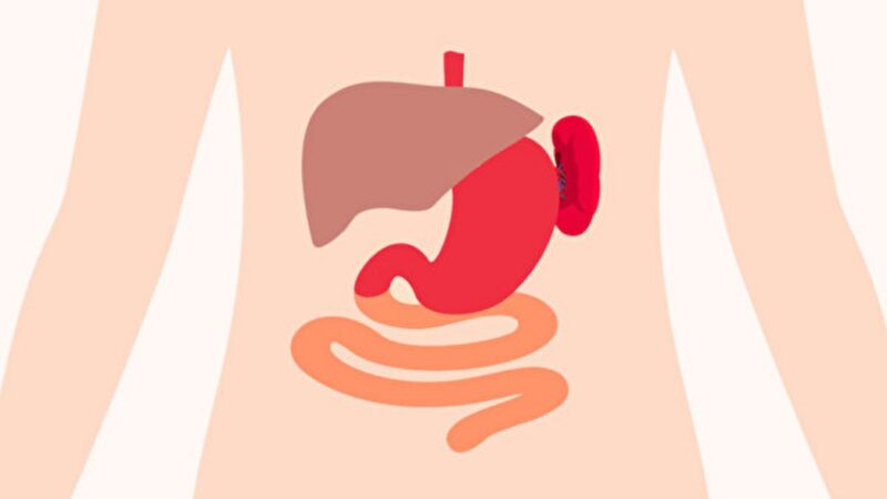 養生重在養脾胃 12個症狀看你是否脾胃虛