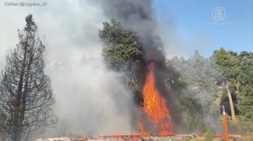 洛县山猫野火控制50% 起火原因疑为变电箱