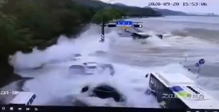 驚險！錢塘江潮水發威 十多輛轎車被硬生沖走