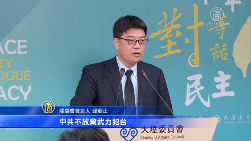 新黨海峽論壇促一國兩制 陸委會：將行政調查