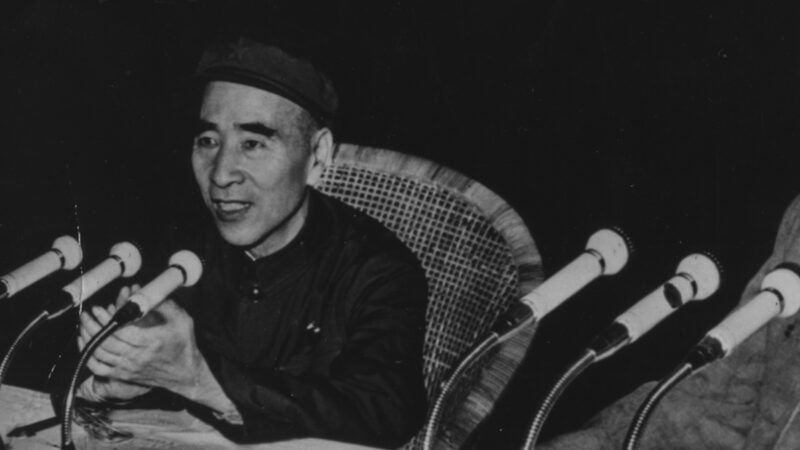 王友群：毛泽东的接班人林彪之死