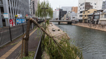 海神酿日本至少35伤4人失踪 直扑韩国逾300航班取消