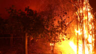 加州再爆新山火 著名葡萄酒庄园付之一炬